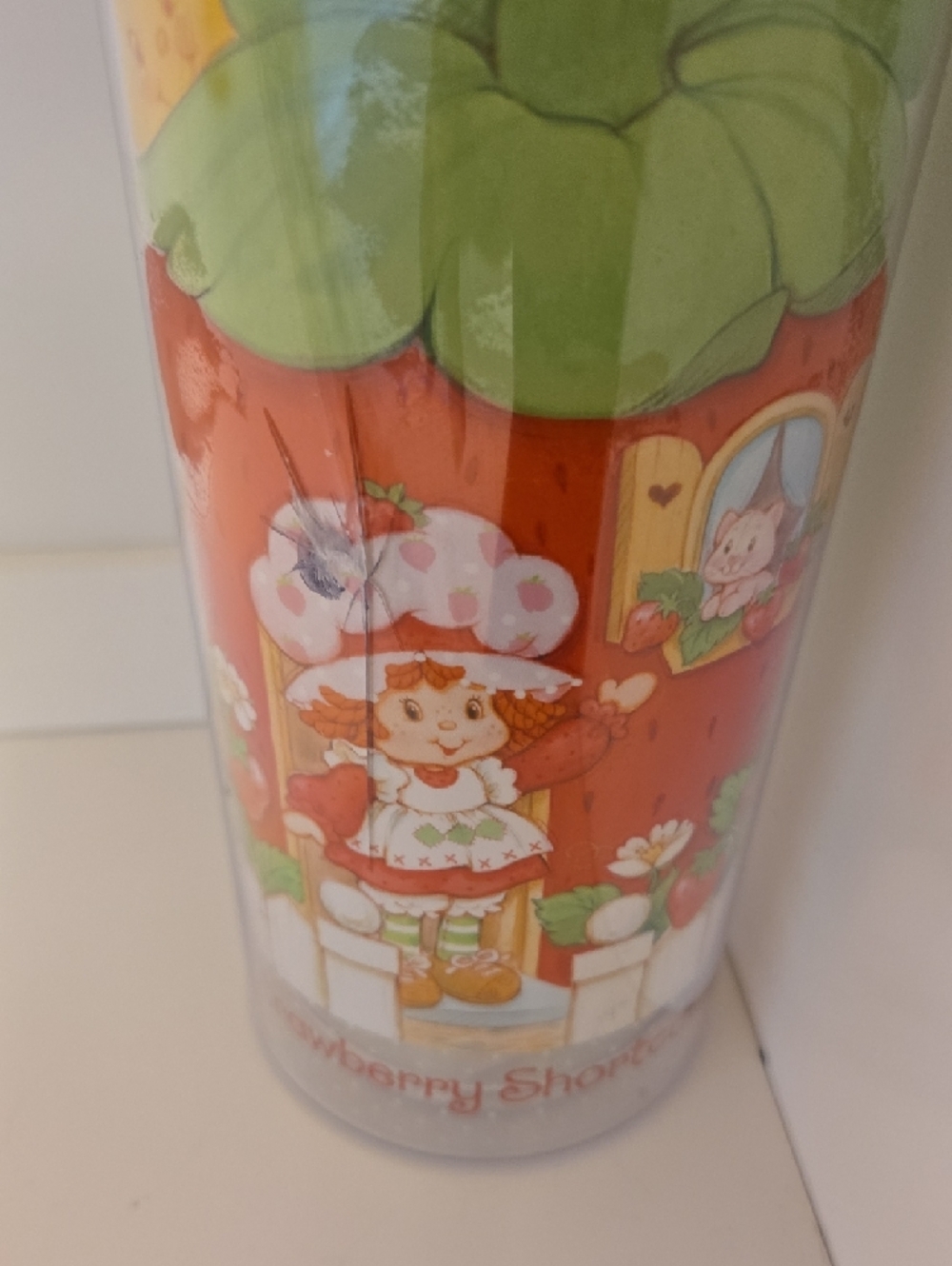 Strawberry Shortcake Green Lid Acrylic Tumbler with Straw Nwot - Picture 2 of 2